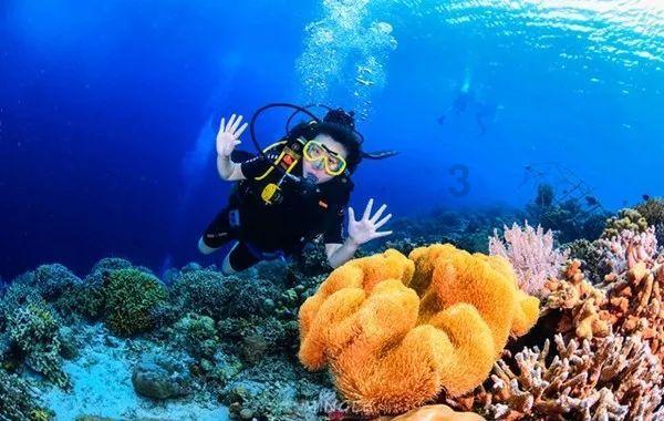 大连民族学院预科班内蒙分数线 |专业百科问答知识网站!